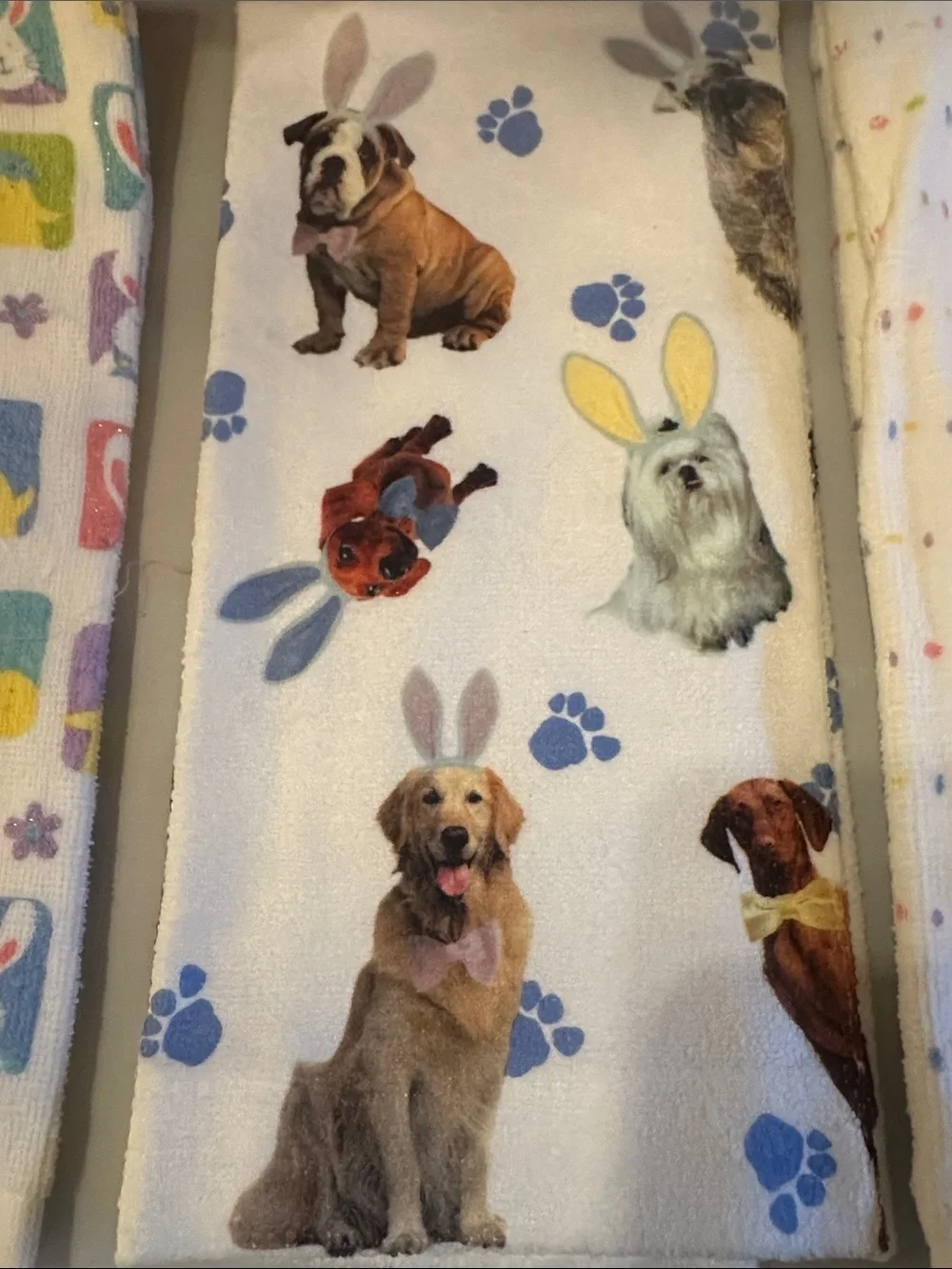 Easter Bunny Embroidered Kitchen Towels - Pastel Blue, Yellow, Pink - Unbranded